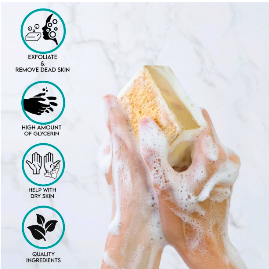 Primal Elements LoofahBar glycerin soap bar with natural loofah sponge